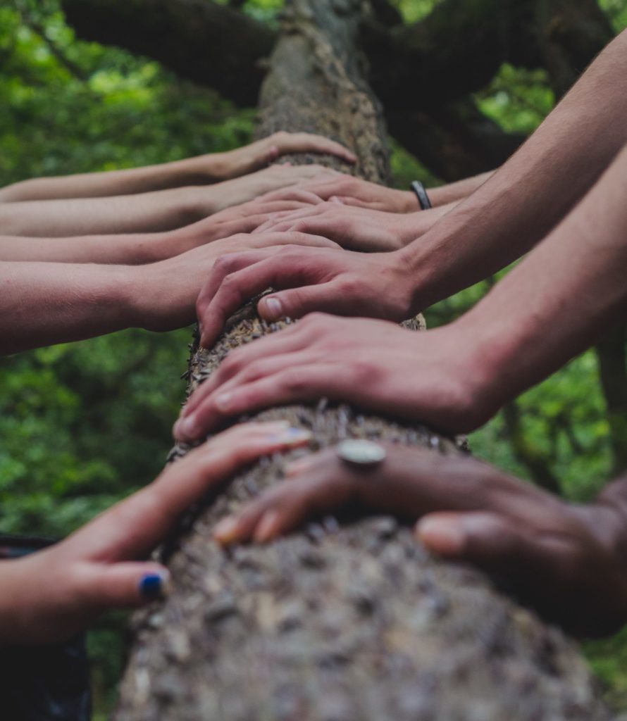 12 Tribes